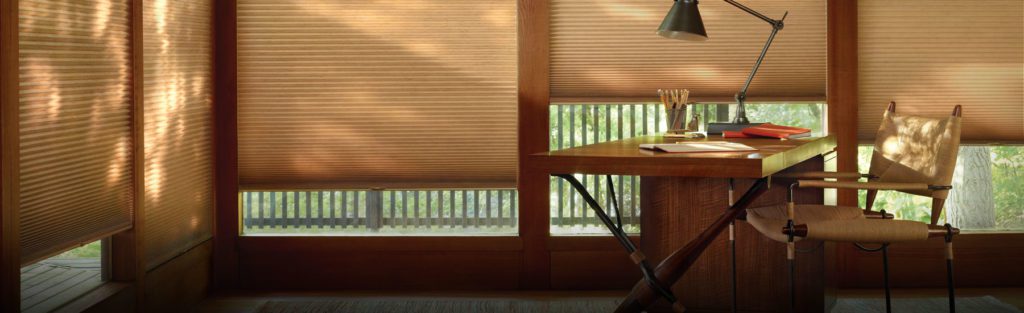 Hunter Douglas PowerView, horizon window fashions