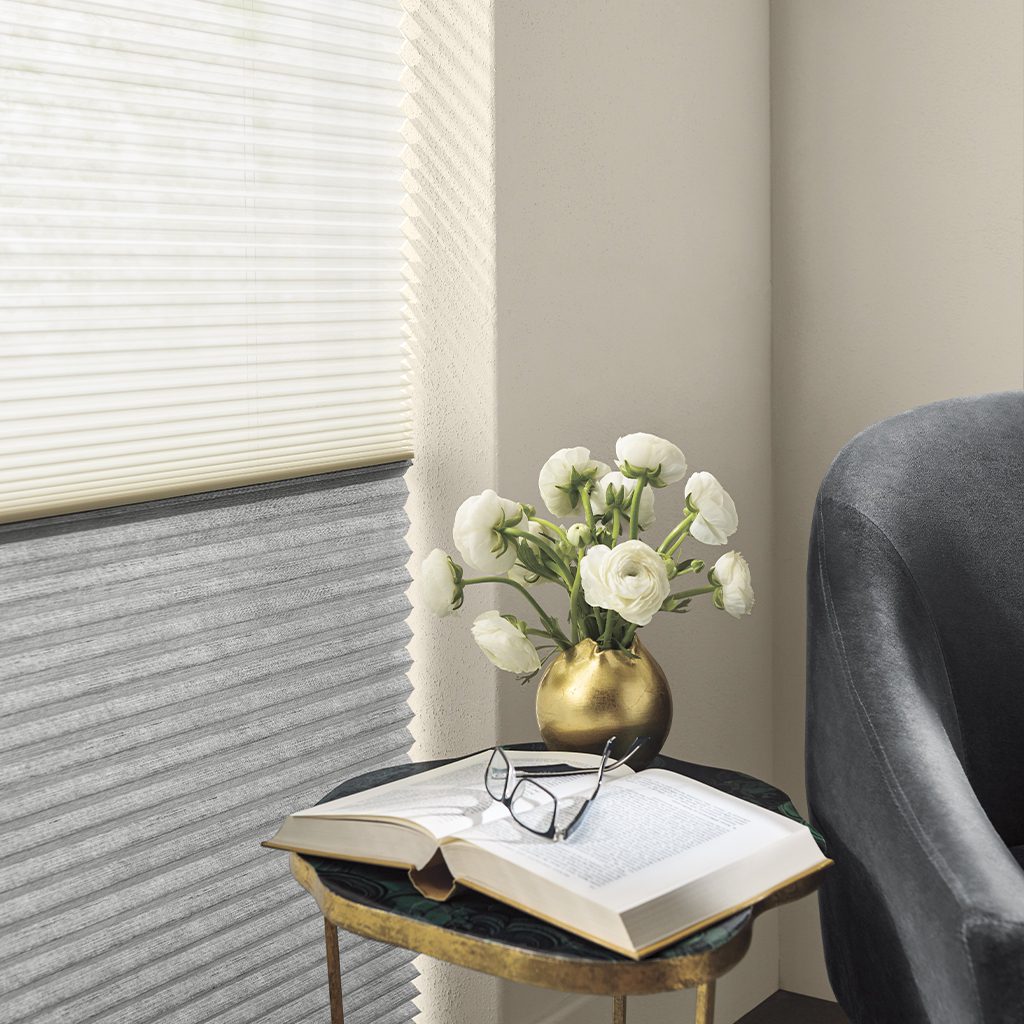 hunter douglas window shades and applause