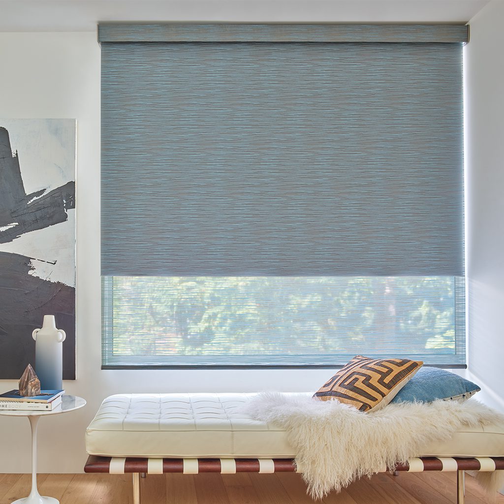 Designer Roller Duolite® Shades- hunter douglas reno